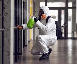 Best Mold Prevention Services  in Corte Madera, CA